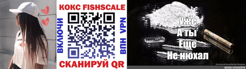 Cocaine FishScale  где купить наркоту  Луга 