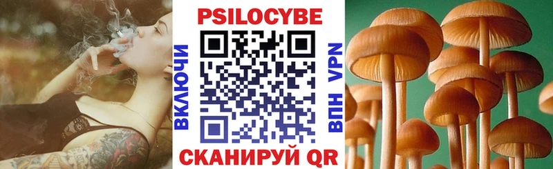 Псилоцибиновые грибы Psilocybine cubensis  Луга 