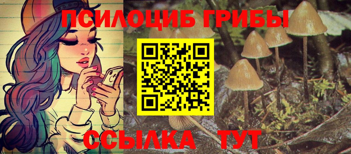 Галлюциногенные грибы прущие грибы  Вход с VPN  Луга  Псилоцибиновые грибы мухоморы 