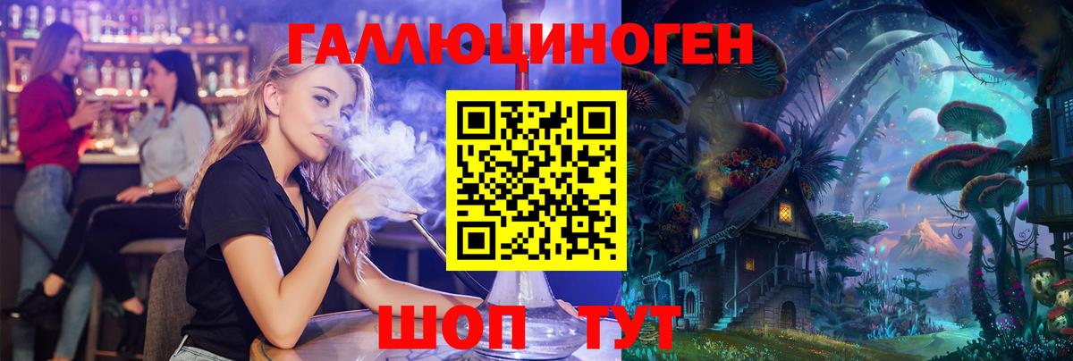 Галлюциногенные грибы Cubensis Луга